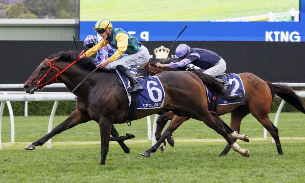 多了一层保 多了一层保