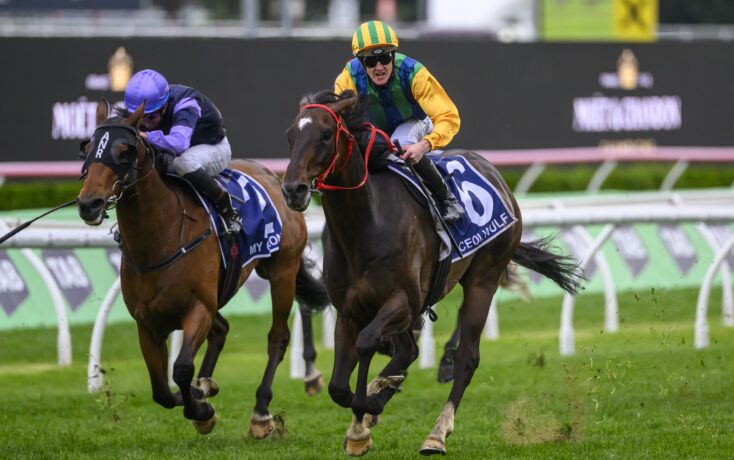 为这次意外 为这次意外