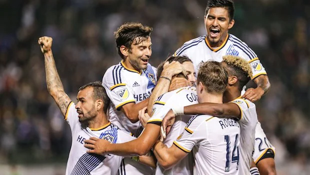 经验丰富的 经验丰富的