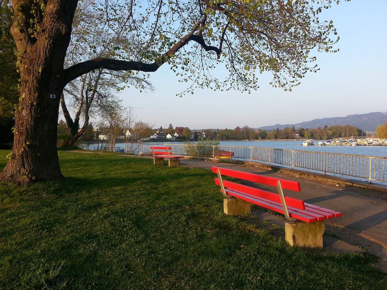 这一合作一 这一合作一